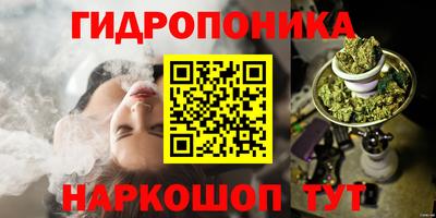 дурь Гатчина