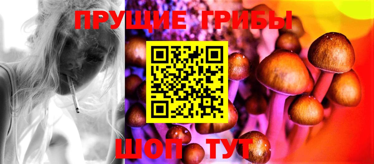 Мыски  Псилоцибиновые грибы прущие грибы  Вход с VPN 