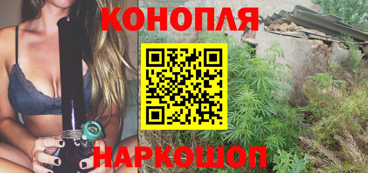 Канабис планчик Мыски